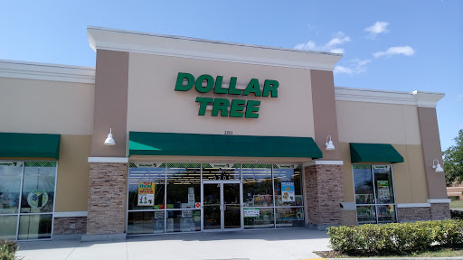 Dollar Store «Dollar Tree», reviews and photos, 3201 Rolling Oaks Blvd, Kissimmee, FL 34747, USA