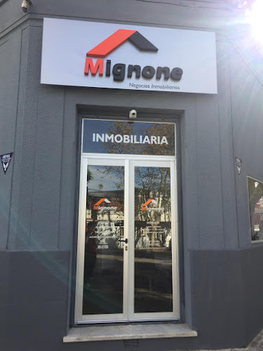 Mignone Negocios Inmobiliarios - Colonia