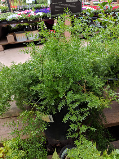 Hardware Store «Orchard Supply Hardware», reviews and photos, 900 El Camino Real, Millbrae, CA 94030, USA