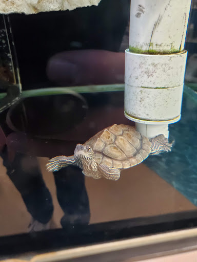 Pet Supply Store «Petco Animal Supplies», reviews and photos, 16434 N Marketplace Blvd, Nampa, ID 83651, USA