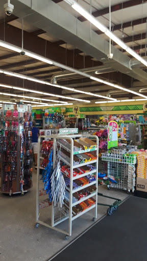 Dollar Store «Dollar Tree», reviews and photos, 40 Ladybird Point, Oviedo, FL 32765, USA