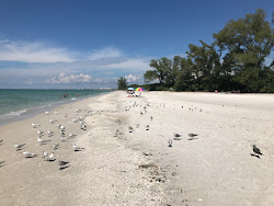 Delnor-Wiggins beach'in fotoğrafı vahşi alan