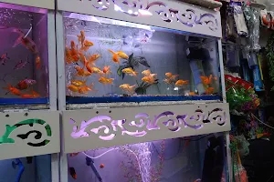 Shri Laxmi Aquarium image