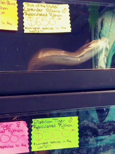 Reptile Store «Pets & Things», reviews and photos, 44825 Van Dyke, Utica, MI 48317, USA