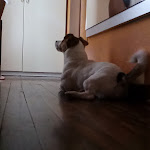 Photo n°1 de l'avis de Marco.e fait le 26/09/2020 à 07:19 sur le  Hotel Giglio à Salsomaggiore Terme