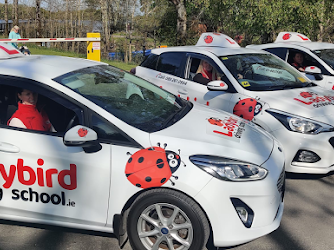Ladybird Driving School Finglas