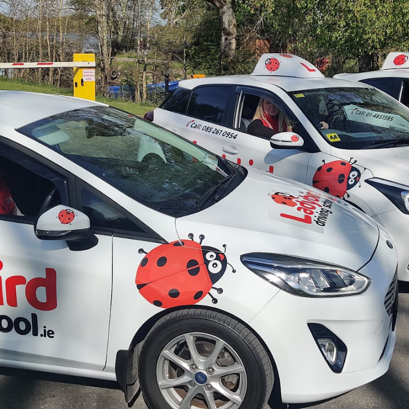 Ladybird Driving School Finglas