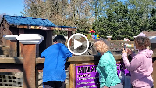 Childrens Farm «Best Long Island Pumpkin Picking», reviews and photos, 250 Old Country Rd, Melville, NY 11747, USA