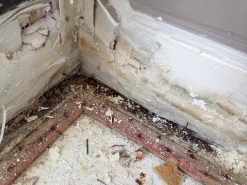 Water Damage Restoration Service «Aaa Restoration», reviews and photos, 249 4860 S, Murray, UT 84107, USA