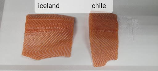 Electronics Store «Best Buy», reviews and photos, 1980 Mt Zion Rd, Morrow, GA 30260, USA