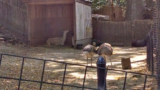 Park «Brandywine Park», reviews and photos, 1080 N Park Dr, Wilmington, DE 19802, USA