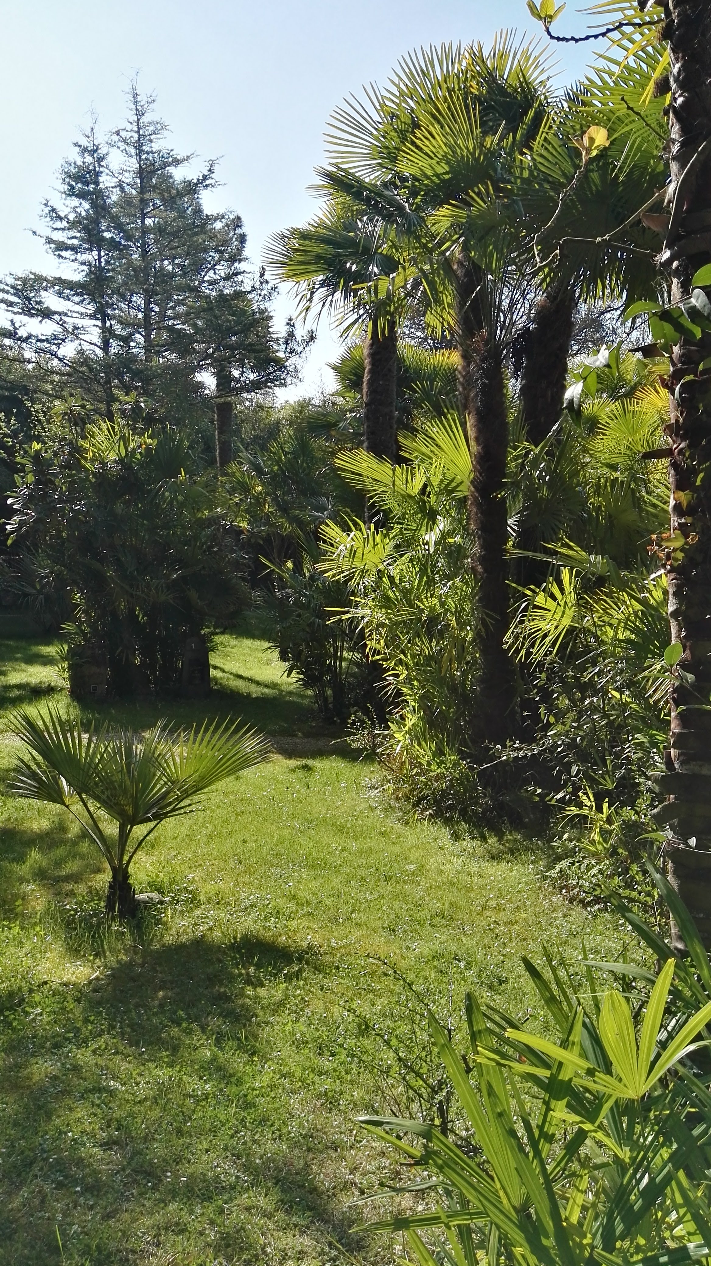 Photo n° 6 de l'avis de Chris.� fait le 29/03/2019 à 14:44
