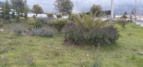 EMBUTIDOS LA ARAGONEZA - ECUADOR / Fabrica de Embutidos