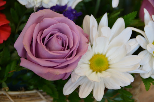 Florist «Four Seasons Florist», reviews and photos, 2141 Wilma Rudolph Blvd D, Clarksville, TN 37040, USA