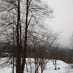 Photo n°6 de l'avis de Luci.i fait le 26/12/2017 à 16:12 sur le  Ristorante Baruffa à Scopello