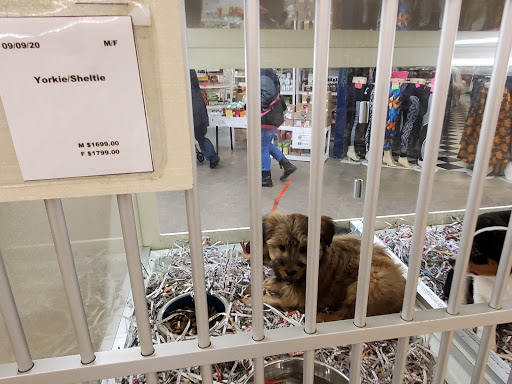 Pet Store «Back To Nature Pets & Grooming», reviews and photos, 110 N Dupont Hwy, New Castle, DE 19720, USA