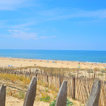 Photo n° 7 de l'avis de Cathleen.� fait le 17/08/2023 à 17:58 pour Parking plage de Lespecier à Mimizan