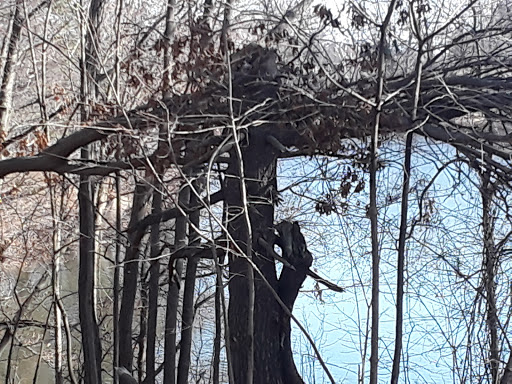 Amusement Center «Seekonk Grand Prix», reviews and photos, 1098 Fall River Ave, Seekonk, MA 02771, USA