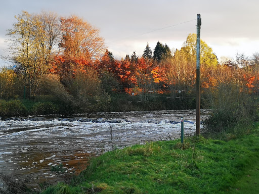 Lagan Valley Regional Park Belfast