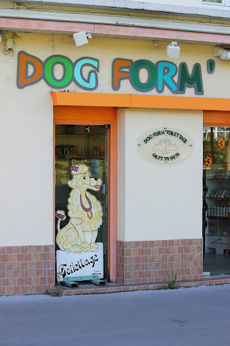 DOG FORM à Saint-Étienne