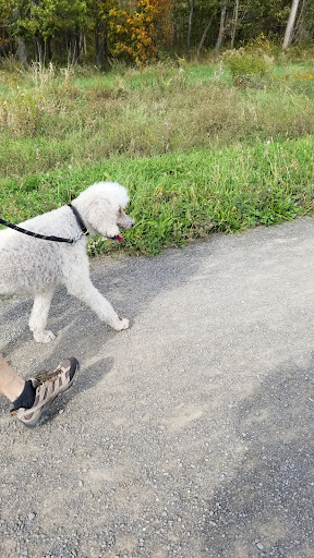 Recreation Center «Clark Recreation Center», reviews and photos, 59 Campbell Ave, Airmont, NY 10901, USA