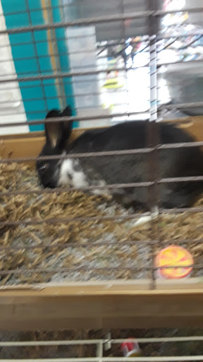 Pet Supply Store «Classic Pet Supply II», reviews and photos, 3180 Gratiot Blvd, Marysville, MI 48040, USA