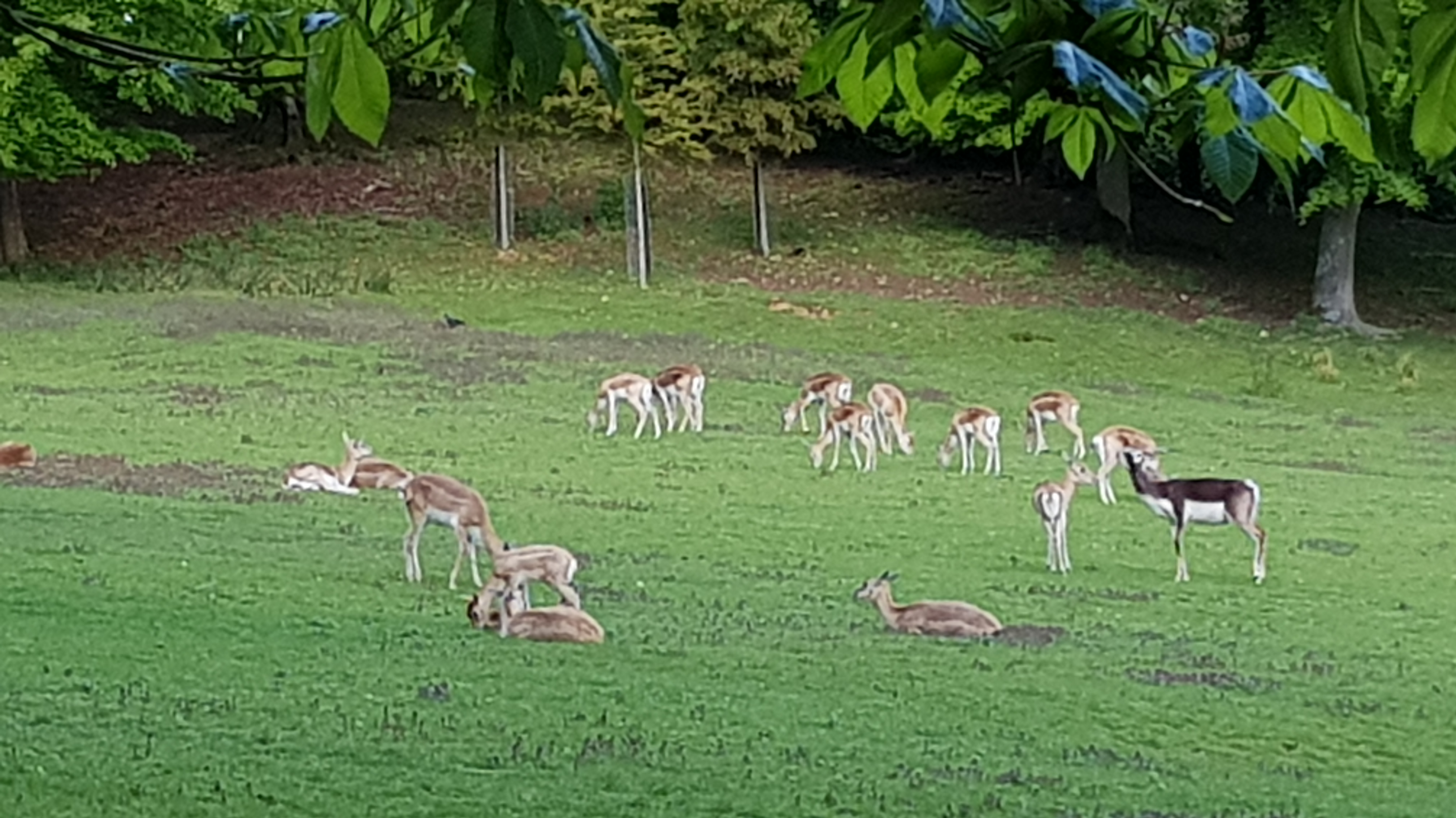 Photo n° 10 de l'avis de Tirlipinpon.u fait le 12/05/2019 à 18:48