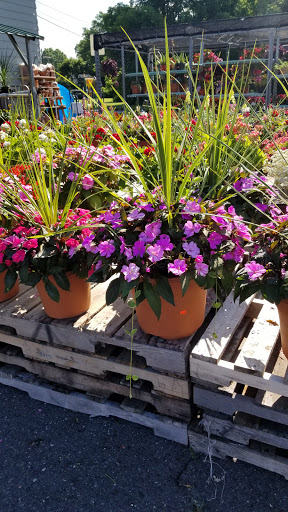 Hardware Store «J&J Hardware», reviews and photos, 100 Ark Rd, Mt Laurel, NJ 08054, USA