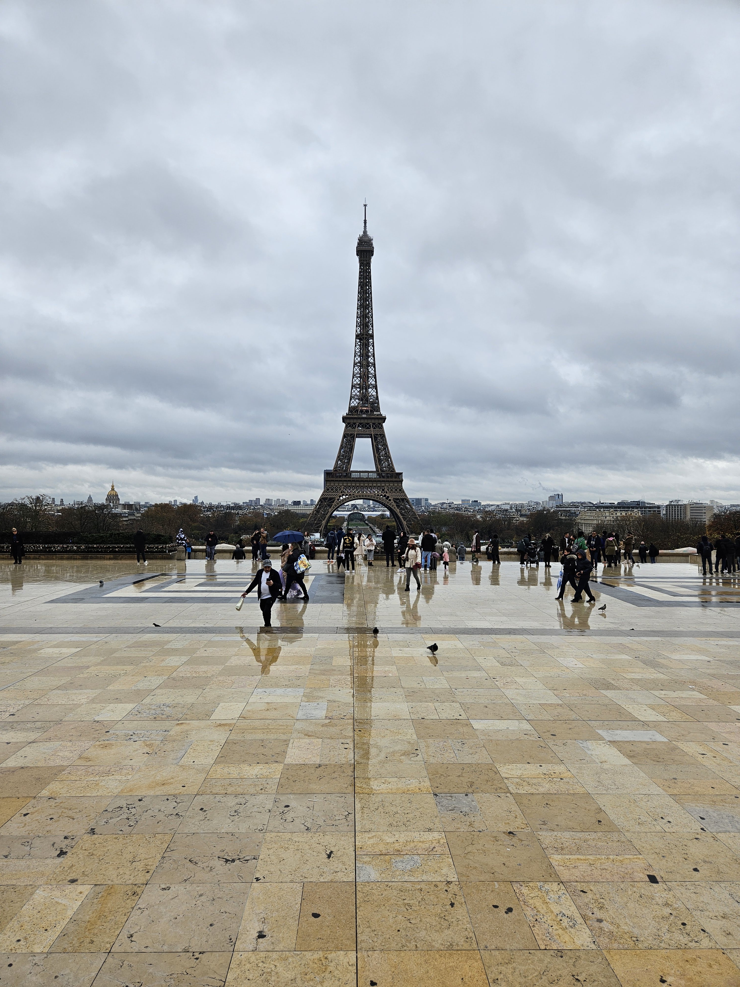 Photo n° 2 de l'avis de Schalk.e fait le 27/11/2023 à 20:39