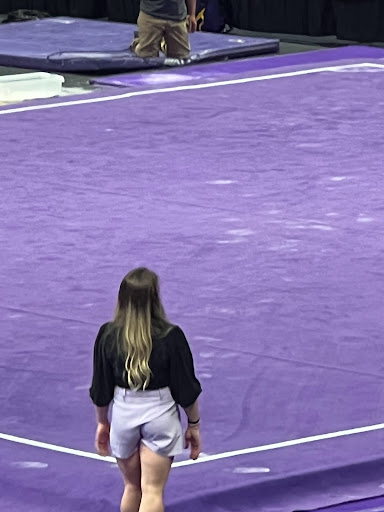 Arena «Pete Maravich Assembly Center», reviews and photos, N Stadium Rd, Baton Rouge, LA 70802, USA