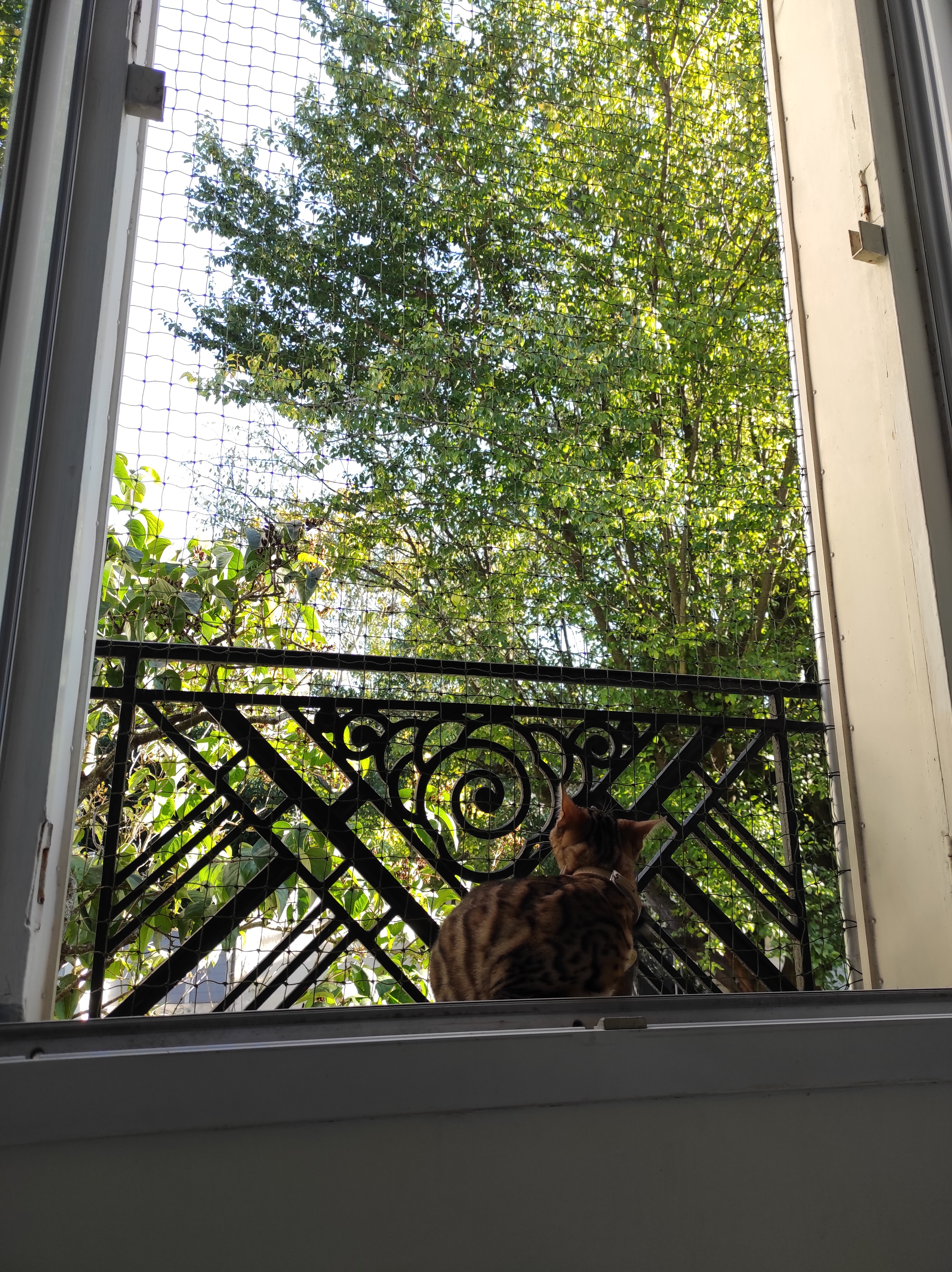 Photo n° 3 de l'avis de Mehdi.Y fait le 09/10/2021 à 08:30