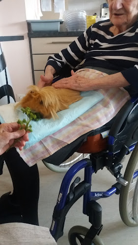 Association de Zootherapie de l Est à Luxeuil-les-Bains