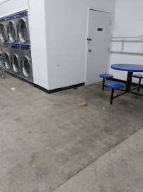 The Laundromat - Photo 9 - Car repair in Columbus, OH, Columbus