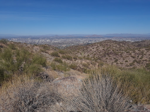 Motorcycle Dealer «Moto City», reviews and photos, 310 N Dysart Rd, Avondale, AZ 85323, USA