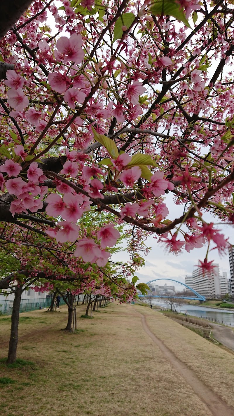 江戸川区立 南平井保育園