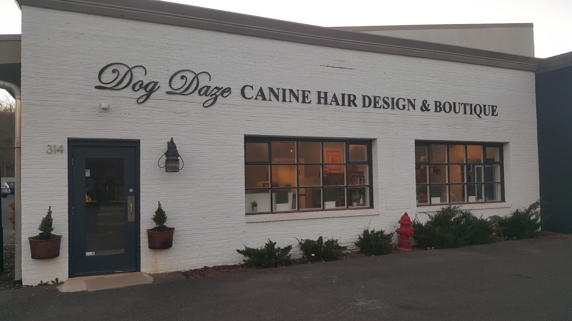 Dog Daze Canine Hair Design
