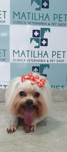 Clínica Veterinária Matilha Pet em São Paulo - SP