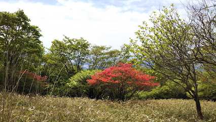 栃木県 県民の森