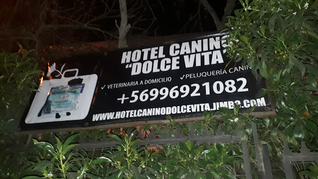 Opiniones de Hotel Canino Dolce Vita en Concón - Guardería