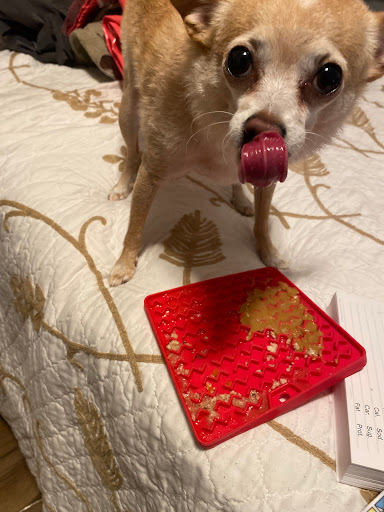 Pet Supply Store «Pet Food Express», reviews and photos, 500 Center Ave, Martinez, CA 94553, USA