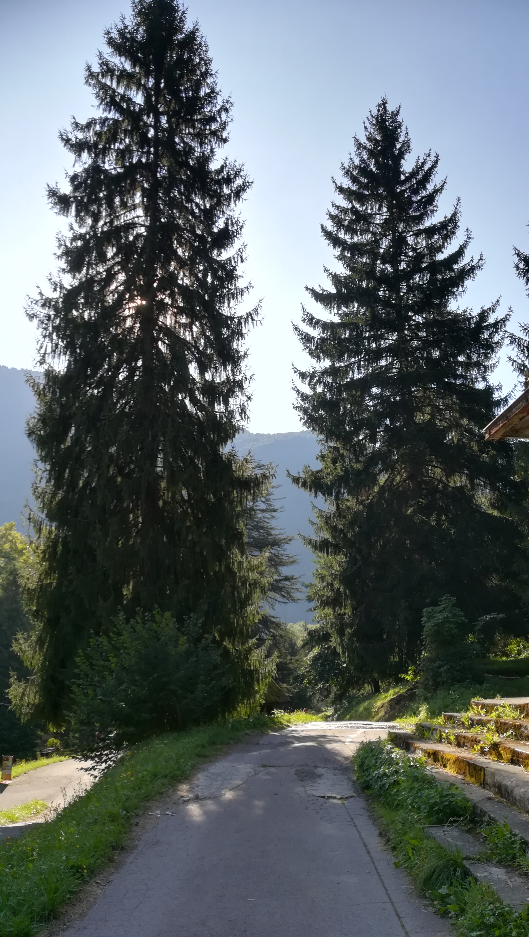 Photo n° 9 de l'avis de NOUNOU.7 fait le 01/09/2019 à 13:27
