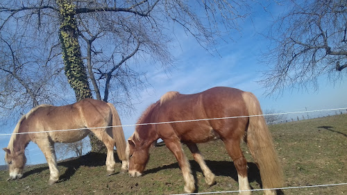 Commune de Couchey à Couchey