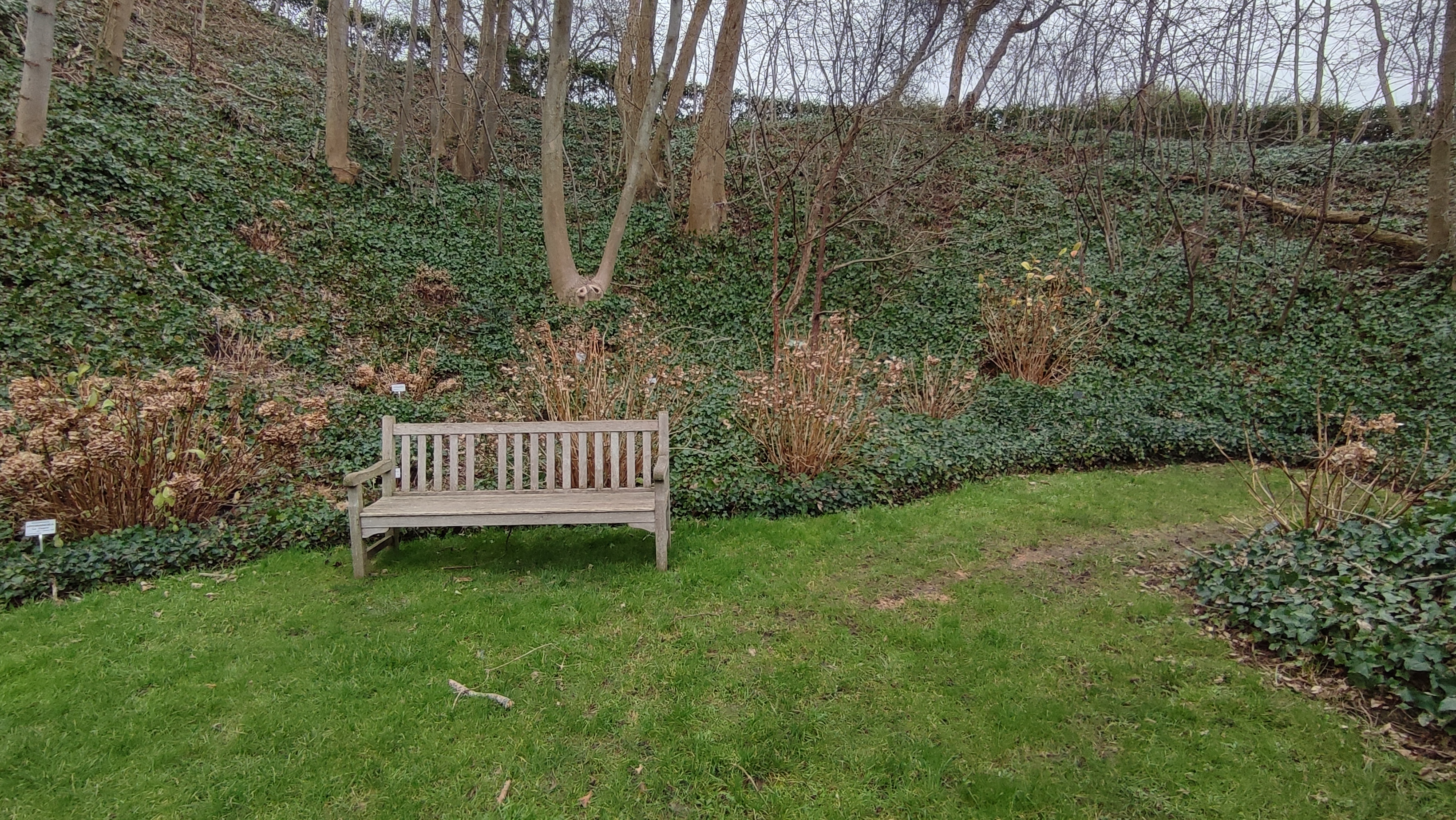 Photo n° 8 de l'avis de Bruno.l fait le 22/01/2022 à 17:36