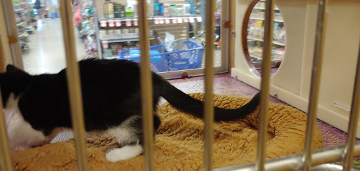 Pet Supply Store «PetSmart», reviews and photos, 2028 Miamisburg Centerville Rd, Dayton, OH 45459, USA