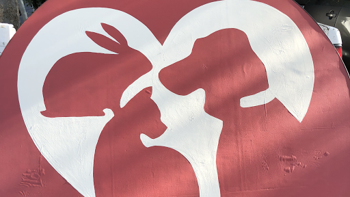 Thrift Store «SPCA Yolo County Thrift Store», reviews and photos, 920 3rd St A,F, Davis, CA 95616, USA