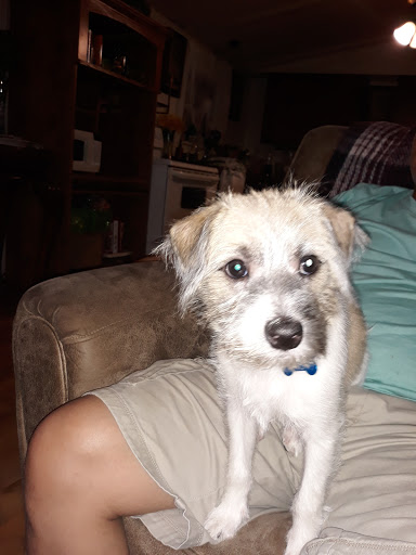 Pet Supply Store «Petco Animal Supplies», reviews and photos, 1670 Airport Blvd #700, Pensacola, FL 32504, USA