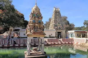 Kalyani image