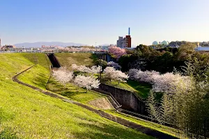 Sayama Pond image