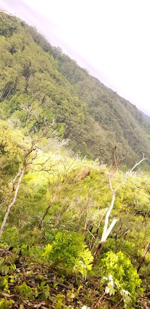 Schofield Waikane Trail - photo 22