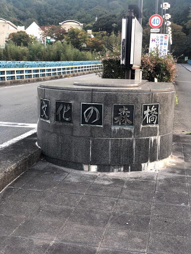 文化の森橋